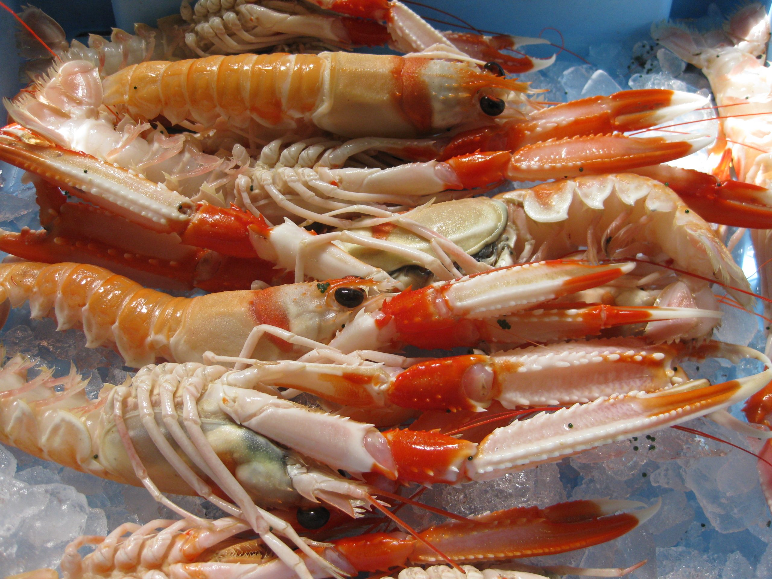 Restaurante Katena - Marisquería en Playa Granada